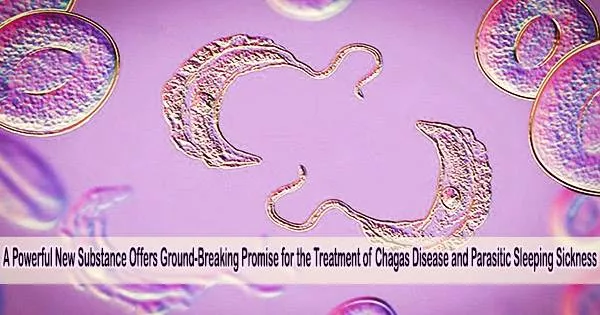 A Powerful New Substance Offers Ground-Breaking Promise for the Treatment of Chagas Disease and Parasitic Sleeping Sickness