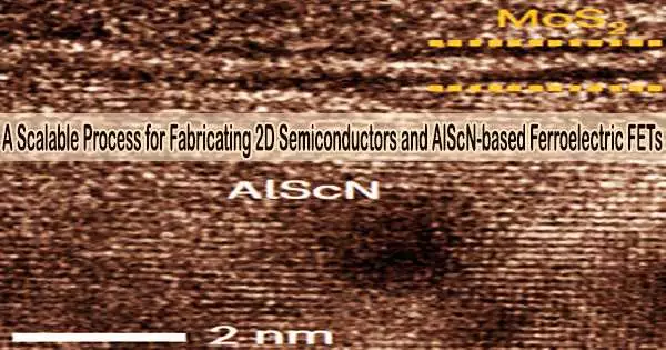 A Scalable Process for Fabricating 2D Semiconductors and AlScN-based Ferroelectric FETs
