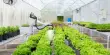 A Smart Farming Platform increases Crop Yields while Reducing Pollution
