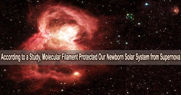 According to a Study, Molecular Filament Protected Our Newborn Solar System from Supernova