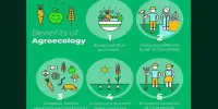 Advantages of Agroecology