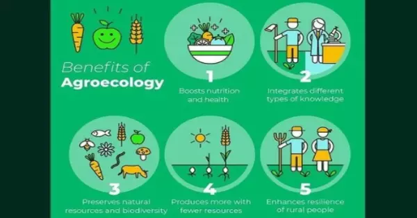 Advantages of Agroecology