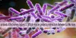 Antibiotic Effectiveness Against C. Difficile may be Limited by Interactions Between Gut Microbes