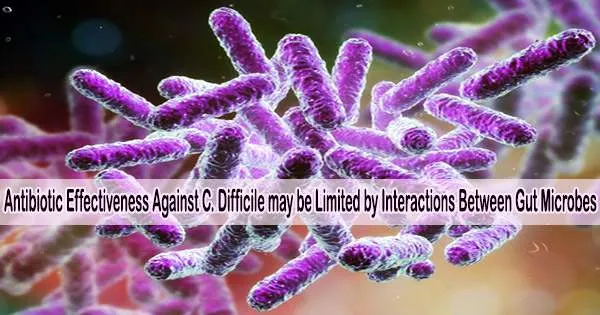 Antibiotic Effectiveness Against C. Difficile may be Limited by Interactions Between Gut Microbes