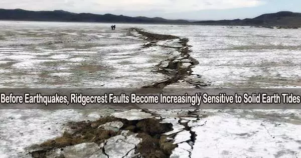 Before Earthquakes, Ridgecrest Faults Become Increasingly Sensitive to Solid Earth Tides
