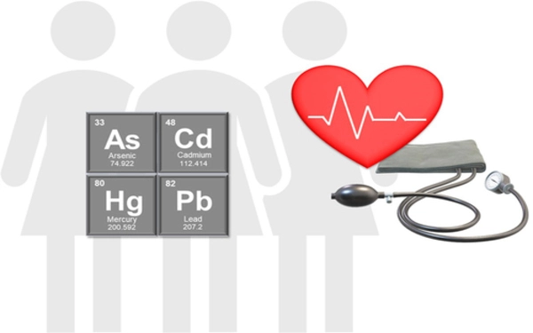 Chronic exposure to lead, cadmium and arsenic increases risk of cardiovascular disease