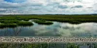 Climate Change Mitigation Through Coastal Ecosystem Restoration