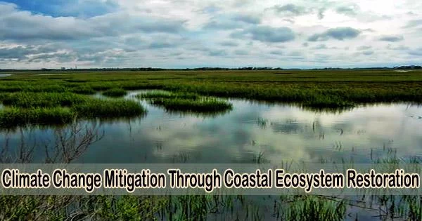 Climate Change Mitigation Through Coastal Ecosystem Restoration