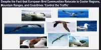Despite the Fact that European Bird Communities Relocate to Cooler Regions, Mountain Ranges, and Coastlines ‘Control the Traffic’