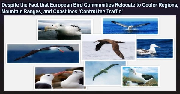 Despite the Fact that European Bird Communities Relocate to Cooler Regions, Mountain Ranges, and Coastlines ‘Control the Traffic’