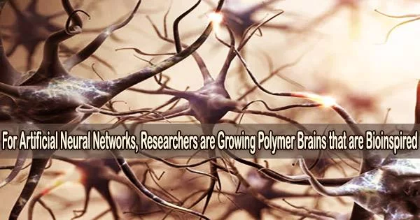 For Artificial Neural Networks, Researchers are Growing Polymer Brains that are Bioinspired