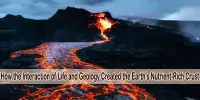 How the Interaction of Life and Geology Created the Earth’s Nutrient-Rich Crust