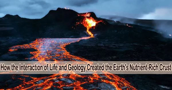 How the Interaction of Life and Geology Created the Earth’s Nutrient-Rich Crust