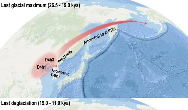 Evidence of Ice Age human migrations from China to the Americas and Japan