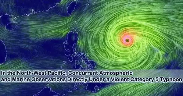 In the North-West Pacific, Concurrent Atmospheric and Marine Observations Directly Under a Violent Category 5 Typhoon