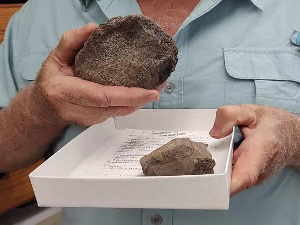 Newly discovered Jurassic fossils in Texas
