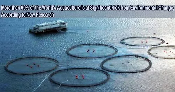 More than 90% of the World’s Aquaculture is at Significant Risk from Environmental Change, According to New Research