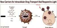 New Carriers for Intracellular Drug Transport that Respond to Light