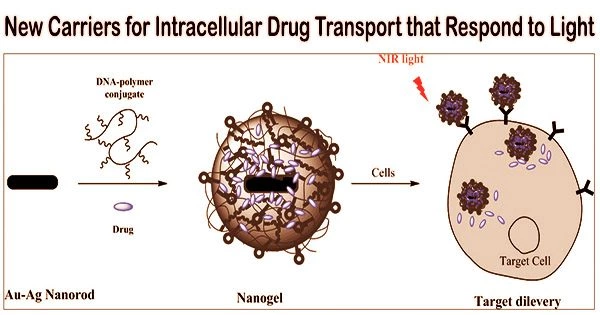 New Carriers for Intracellular Drug Transport that Respond to Light
