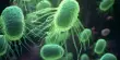 New Information about the Bacteria that Cause Food Poisoning
