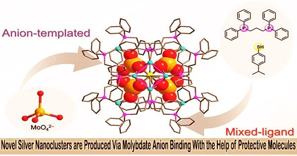 Novel Silver Nanoclusters are Produced Via Molybdate Anion Binding With the Help of Protective Molecules