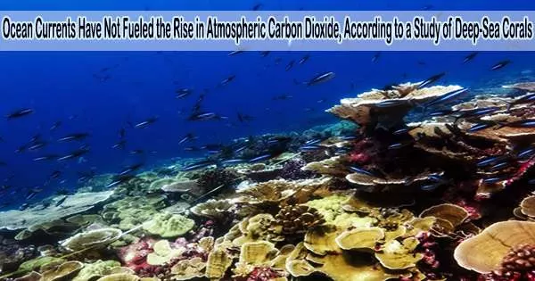 Ocean Currents Have Not Fueled the Rise in Atmospheric Carbon Dioxide, According to a Study of Deep-Sea Corals