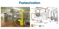 Pasteurization – a process of food preservation