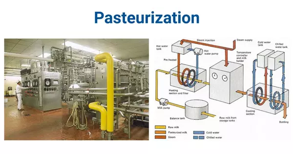 Pasteurization – a process of food preservation