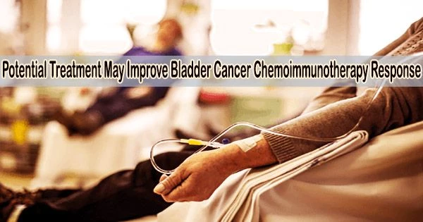 Potential Treatment May Improve Bladder Cancer Chemoimmunotherapy Response