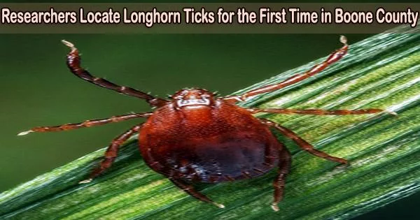Researchers Locate Longhorn Ticks for the First Time in Boone County