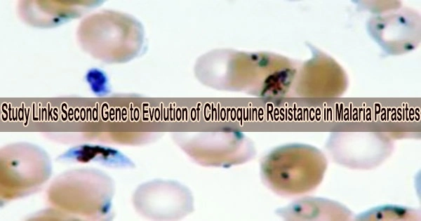 Study Links Second Gene to Evolution of Chloroquine Resistance in Malaria Parasites
