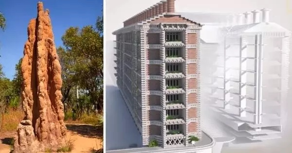 Termite-inspired Climate-friendly Air Conditioning