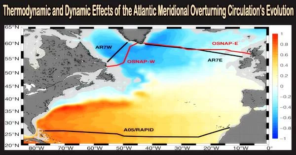 Thermodynamic and Dynamic Effects of the Atlantic Meridional Overturning Circulation’s Evolution