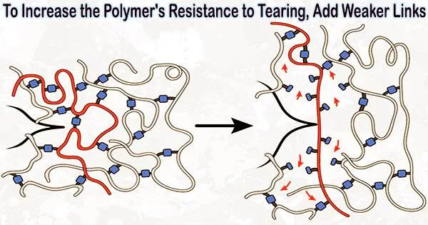 To Increase the Polymer’s Resistance to Tearing, Add Weaker Links
