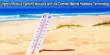 Urged to Reduce Carbon Emissions and Use Common Marine Heatwave Terminology