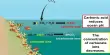 A Framework for Preparing for Ocean Acidification