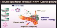 A Team Creates Magnetic Microrobots with Folate to Aid in the Delivery of Cancer Cells-Specific Drugs