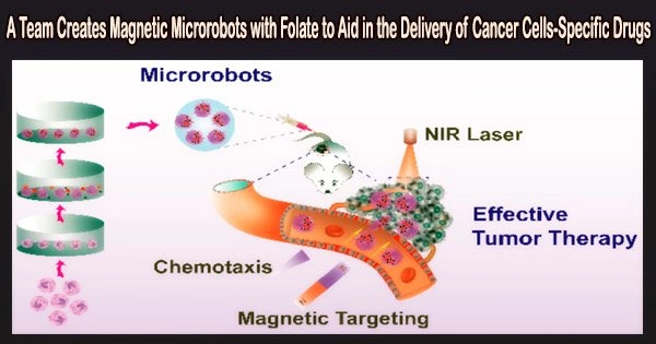 A Team Creates Magnetic Microrobots with Folate to Aid in the Delivery of Cancer Cells-Specific Drugs