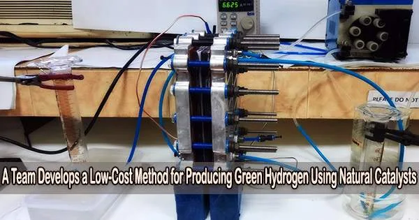 A Team Develops a Low-Cost Method for Producing Green Hydrogen Using Natural Catalysts