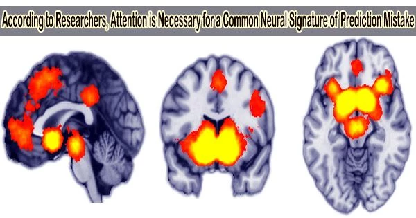 According to Researchers, Attention is Necessary for a Common Neural Signature of Prediction Mistake