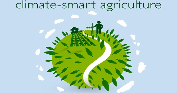 Climate-smart Agriculture