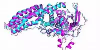 Deep Learning for the Creation of New Proteins