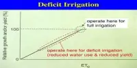 Deficit Irrigation – a watering strategy