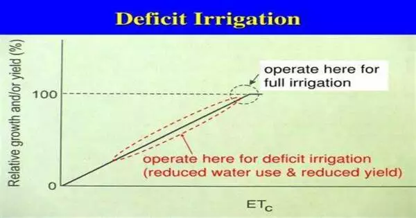 Deficit Irrigation – a watering strategy
