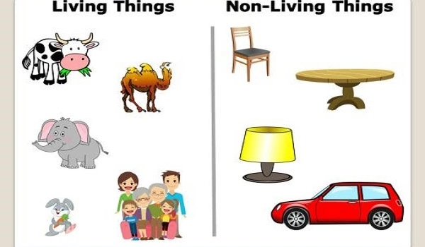 Difference-between-Living-and-Non-Living-Things-1