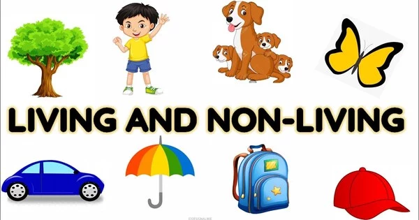 Difference between Living and Non-Living Things