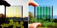 Dye-sensitized Solar Cell