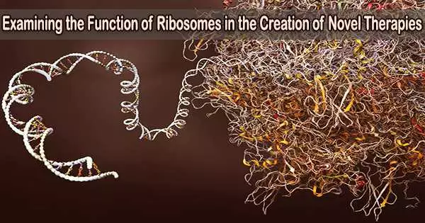 Examining the Function of Ribosomes in the Creation of Novel Therapies