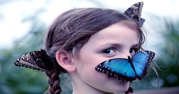 Films Inspired by Butterflies Colorize Objects While Passively Chilling Them