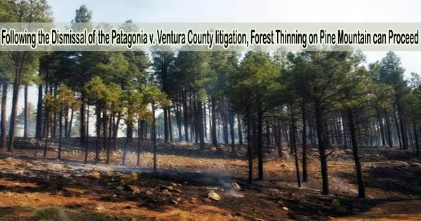 Following the Dismissal of the Patagonia v. Ventura County litigation, Forest Thinning on Pine Mountain can Proceed